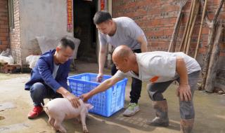 献给你的罗曼蒂克