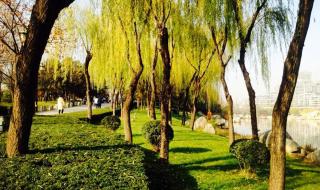 曲江池遗址公园 曲江池遗址公园