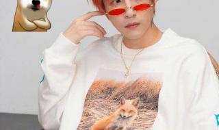 鹿晗上海演唱会红发