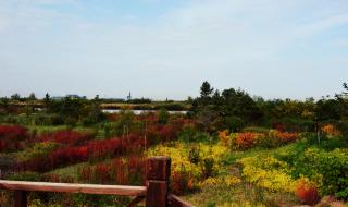 张掖国家湿地公园 张掖国家湿地公园